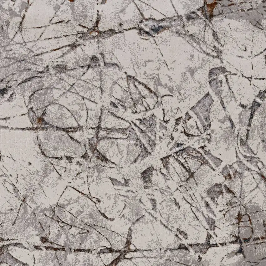 Ivory or Grey Abstract Area Rug Photo 1
