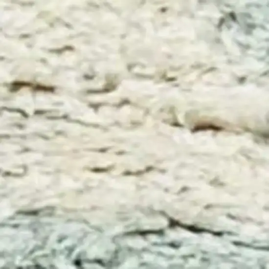 Ivory And Gray Geometric Area Rug Photo 5