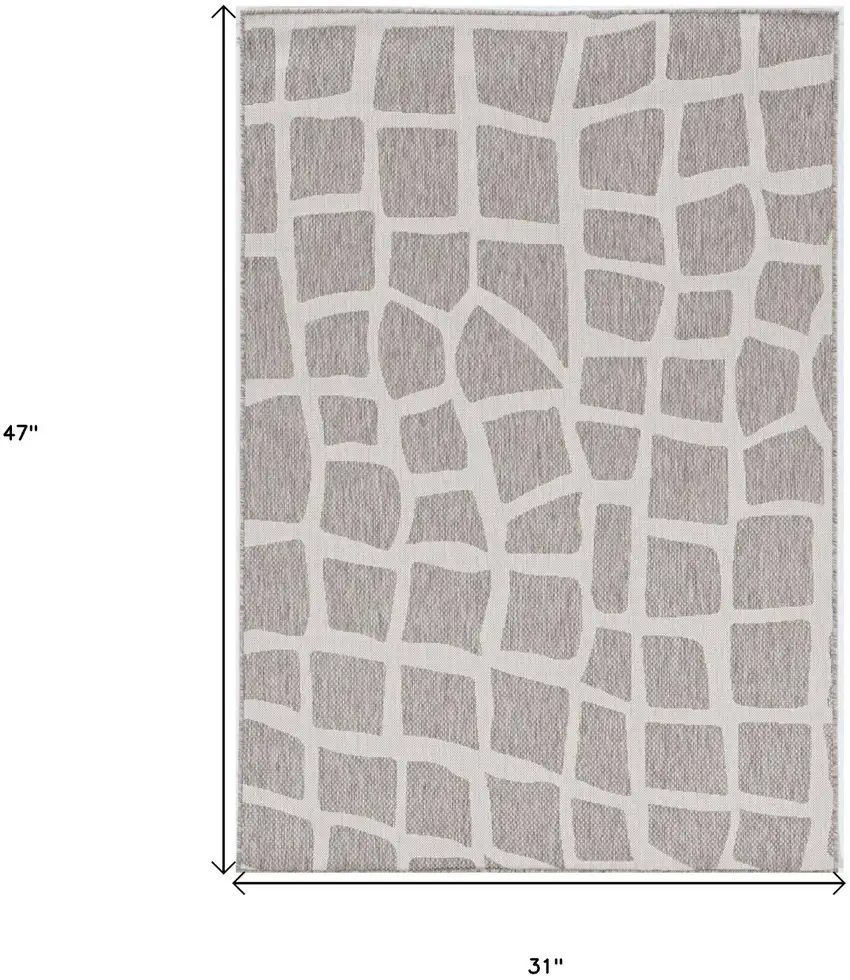 Ivory Or Grey Polypropylene Area Rug Photo 3