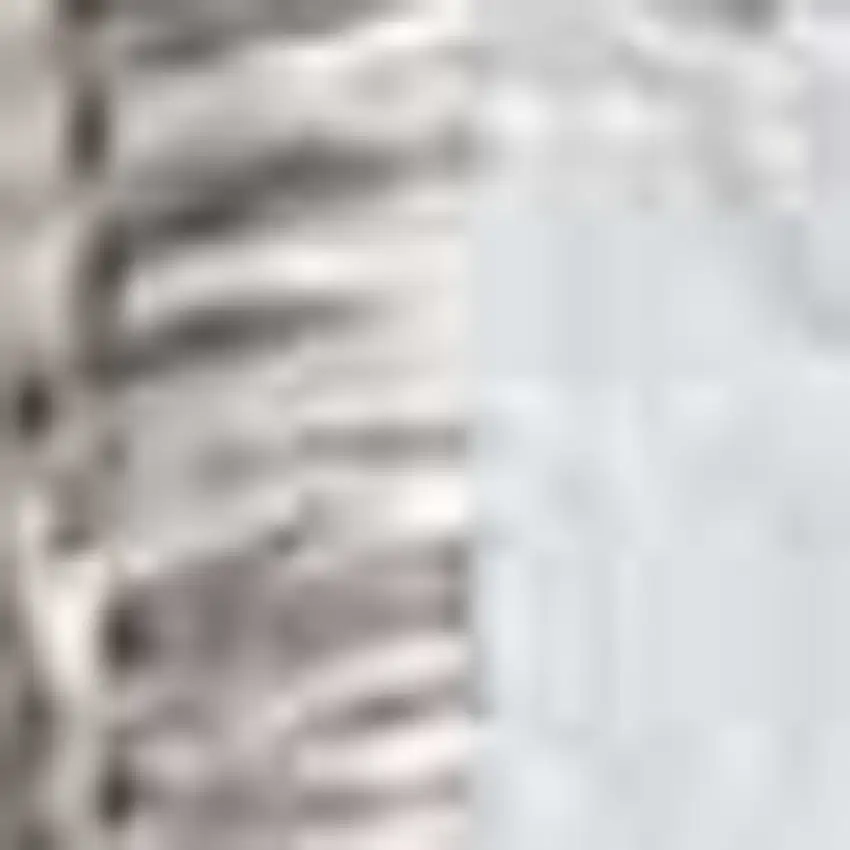 Ivory Or Grey Polypropylene Area Rug Photo 5