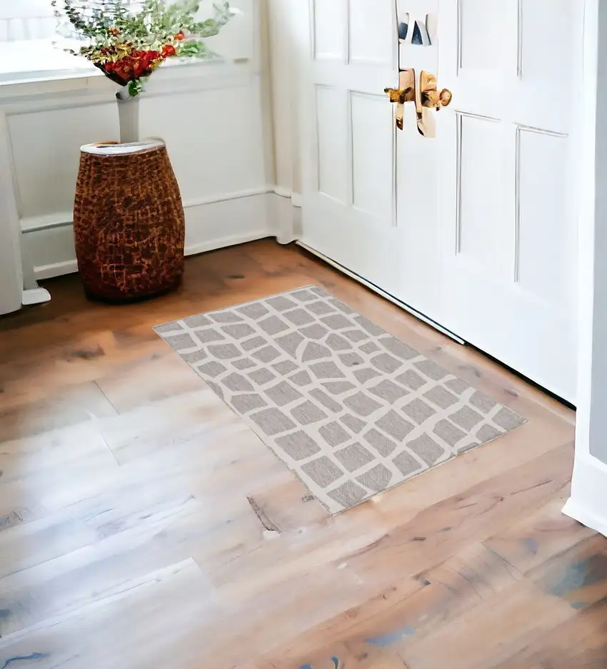 Ivory Or Grey Polypropylene Area Rug Photo 1