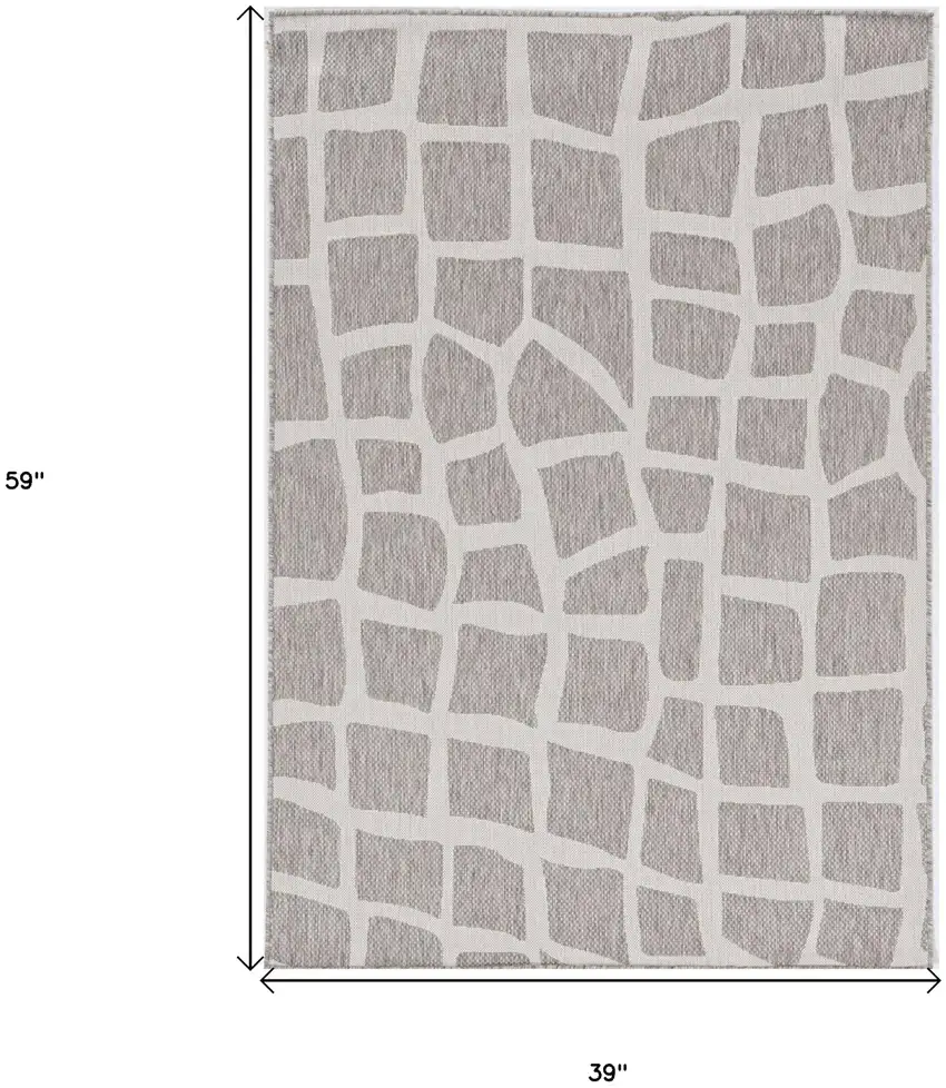 Ivory Or Grey Polypropylene Area Rug Photo 3