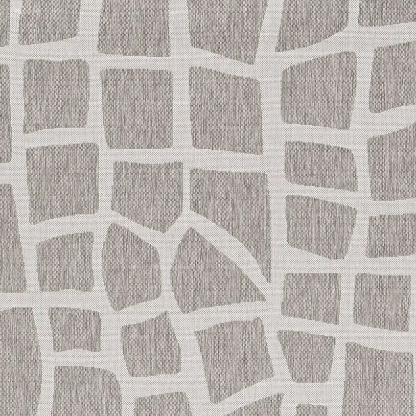 Ivory Or Grey Polypropylene Area Rug Photo 6