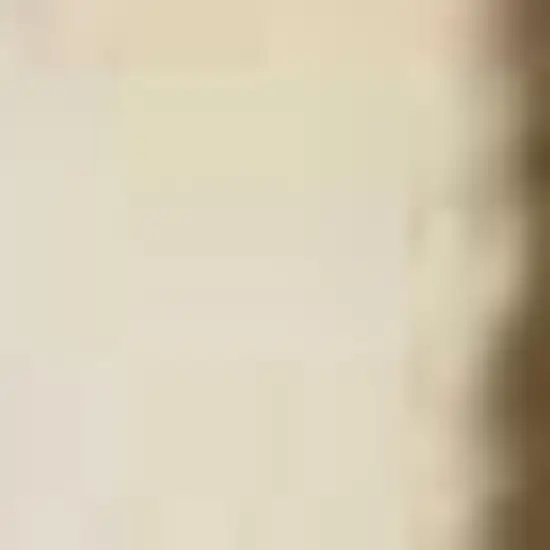 8' Red Ivory And Brown Floral Medallion Runner Rug Photo 6