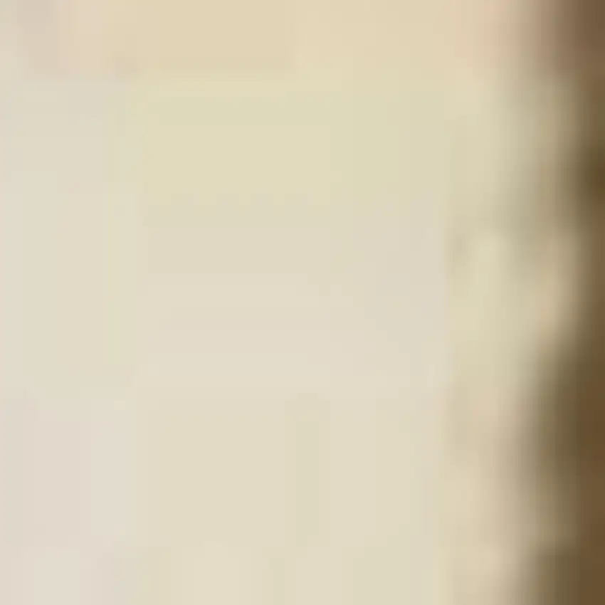 8' Red Ivory And Brown Floral Medallion Runner Rug Photo 6