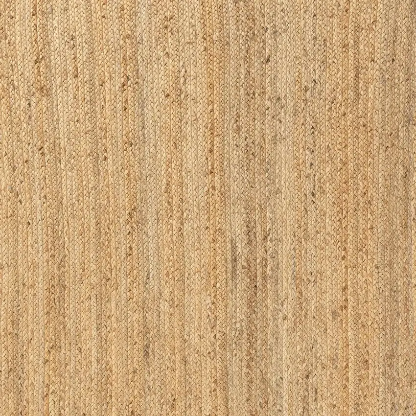 Jute Hand Braided Area Rug Photo 2