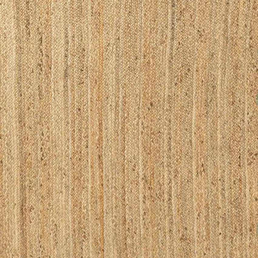 Jute Hand Braided Area Rug Photo 4