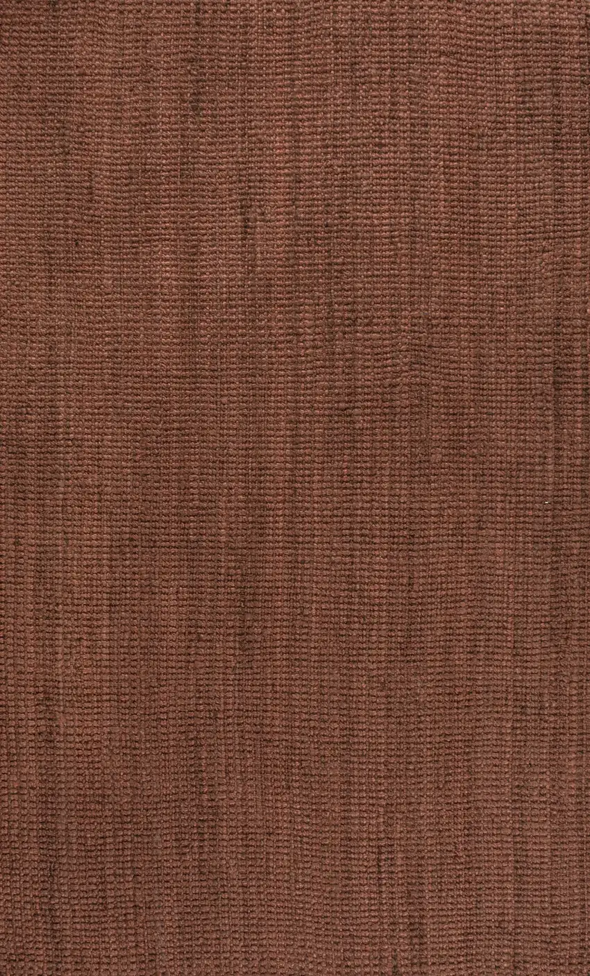 Jute Handmade Area Rug Photo 1