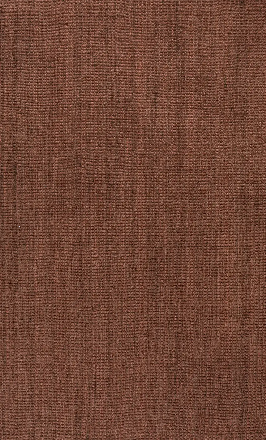 Jute Handmade Area Rug Photo 3