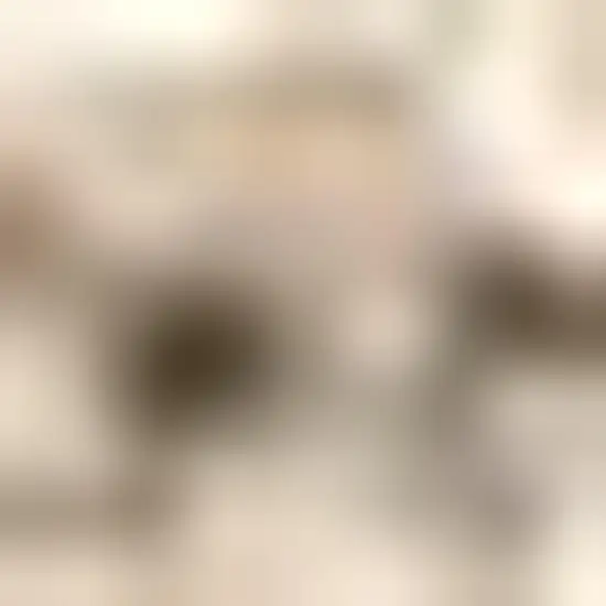 Jute Handmade Area Rug Photo 3