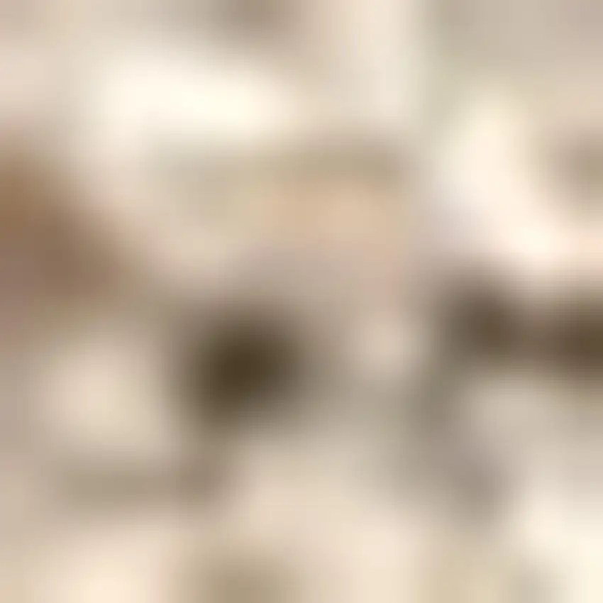 Jute Handmade Area Rug Photo 3