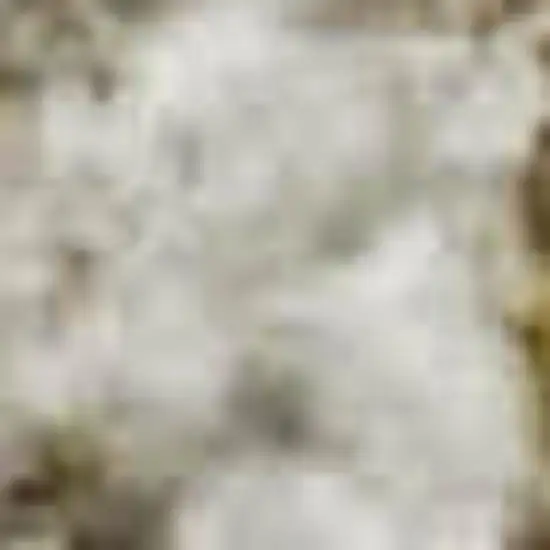 Khaki And Beige Geometric Washable Area Rug With UV Protection Photo 4