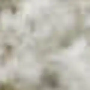 Photo of Khaki And Beige Geometric Washable Area Rug With UV Protection