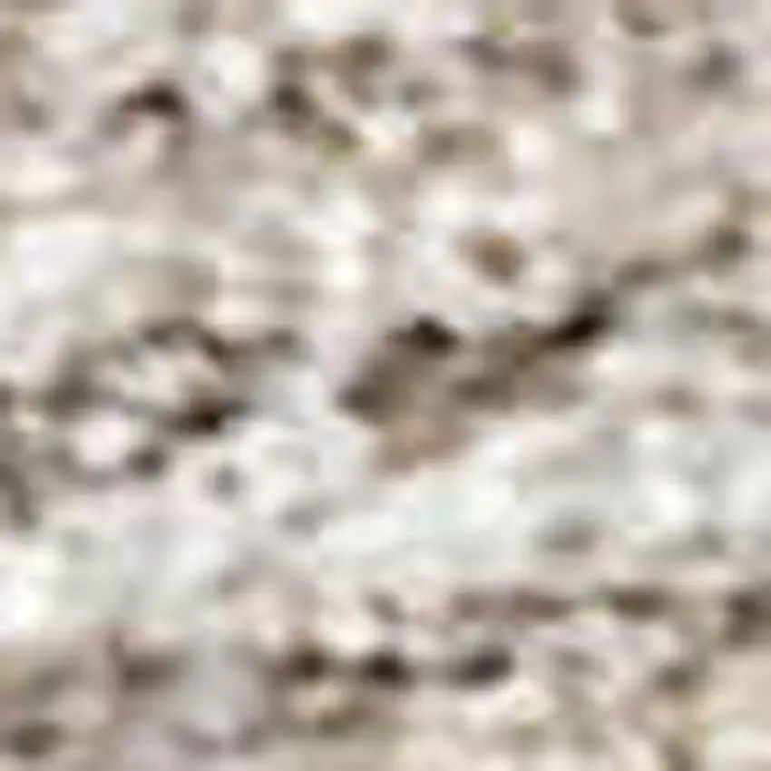 Khaki And Ivory Floral Washable Indoor Outdoor Area Rug Photo 2