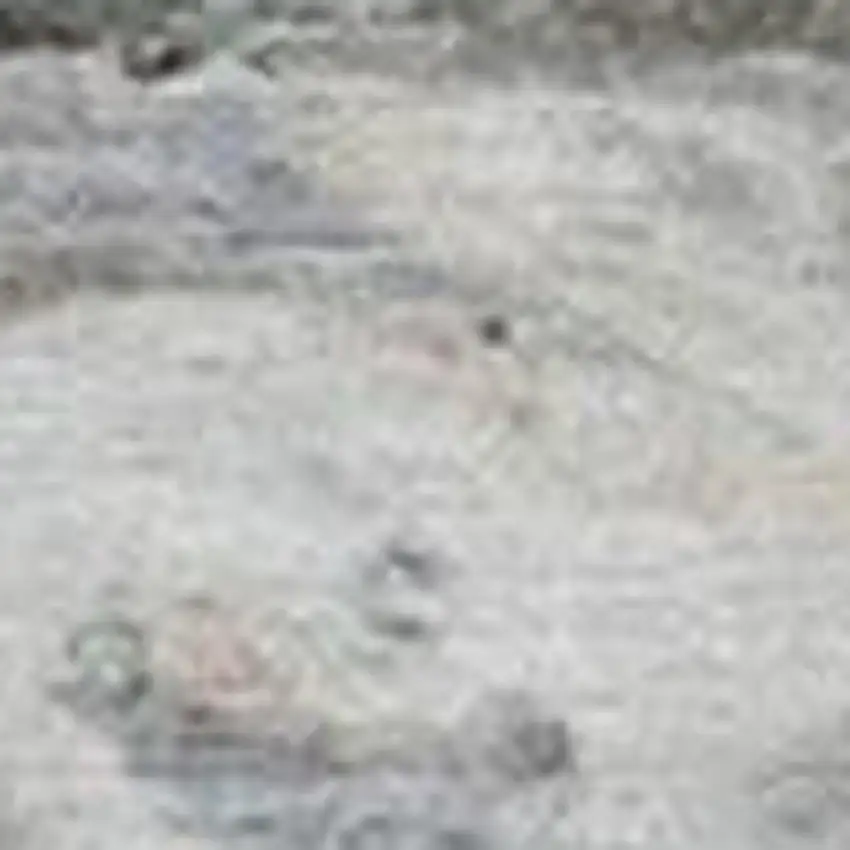 Khaki Beige And Purple Abstract Washable Indoor Outdoor Area Rug Photo 3