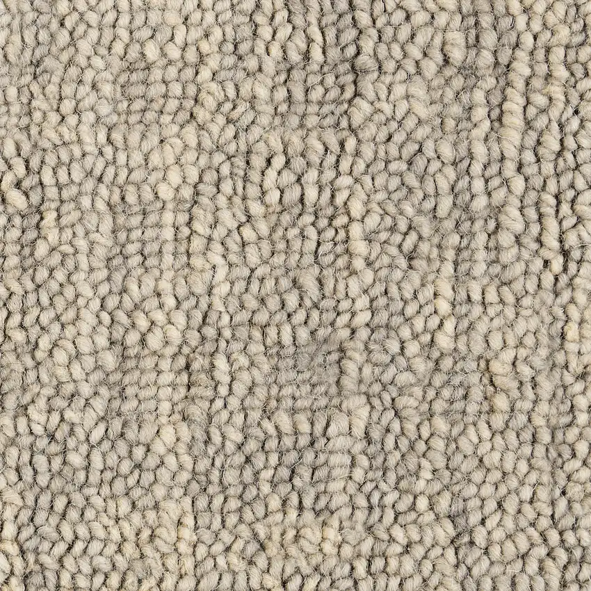 Latte Wool Area Rug Photo 3
