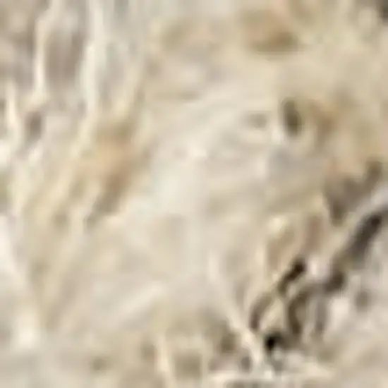 Latte Wool Area Rug Photo 2