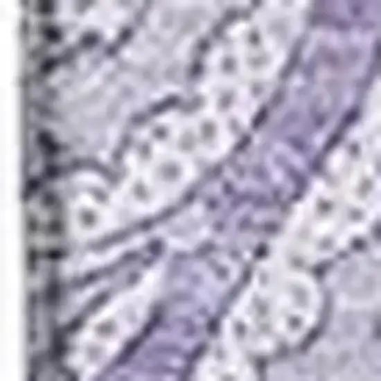 Lavender And Ivory Paisley Washable Area Rug With UV Protection Photo 5