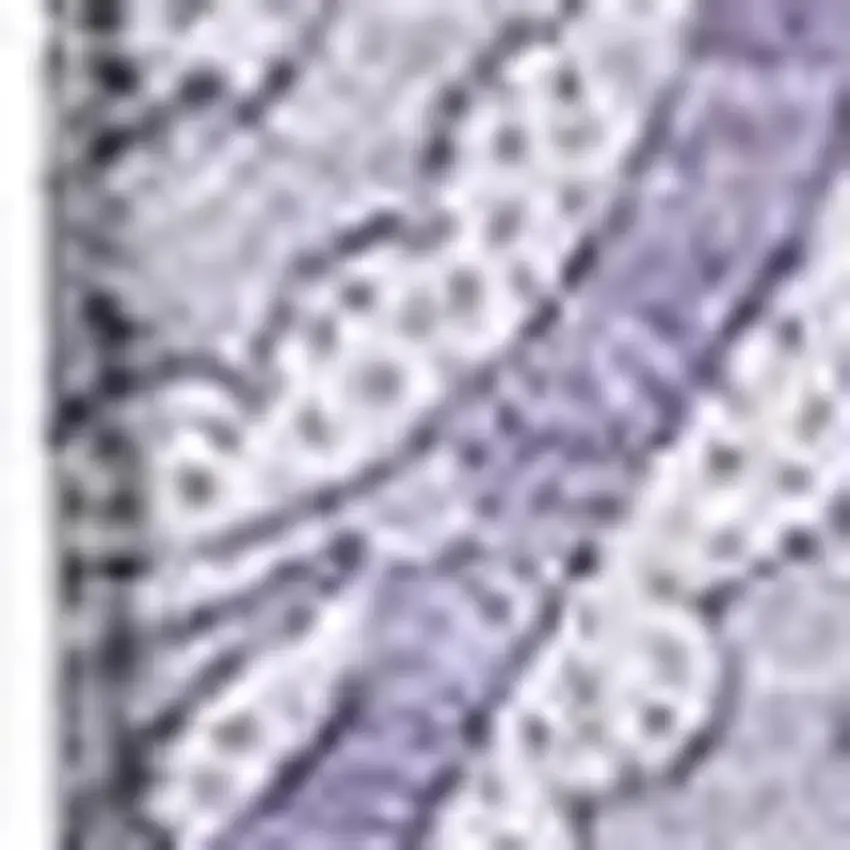 Lavender And Ivory Paisley Washable Area Rug With UV Protection Photo 5