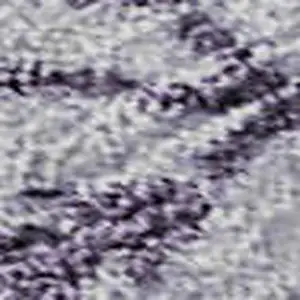 Photo of Lavender Gray And Gold Floral Washable Area Rug With UV Protection