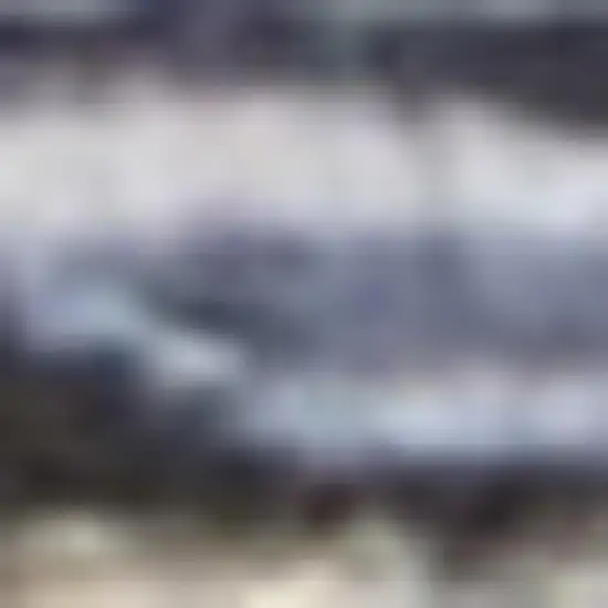 Light Blue And Orange Medallion Distressed Washable Area Rug Photo 1