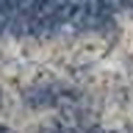 Light Blue Gray and Beige Abstract Shag Area Rug Photo 4