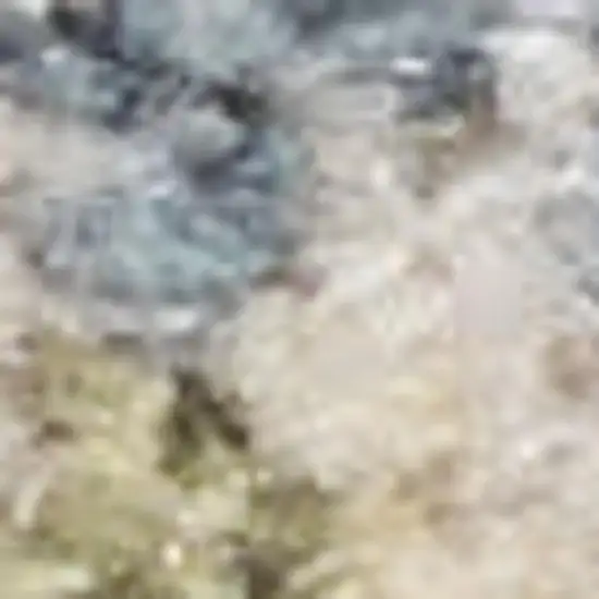 Light Blue Ivory And Yellow Floral Medallion Washable Area Rug Photo 3