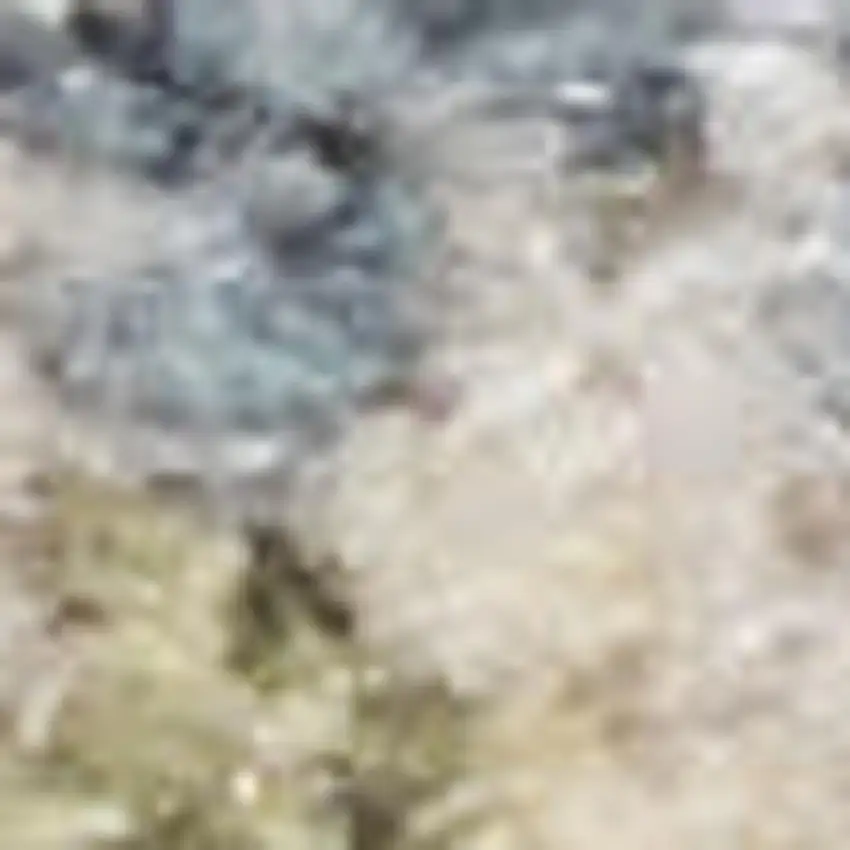 Light Blue Ivory And Yellow Floral Medallion Washable Area Rug Photo 3