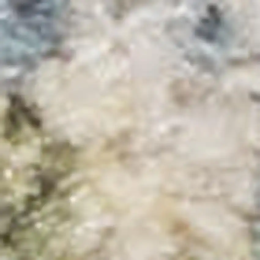 Light Blue Ivory And Yellow Floral Medallion Washable Area Rug Photo 3