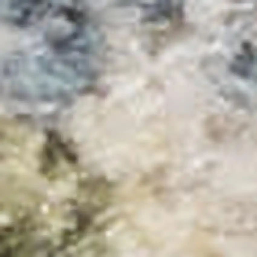 Light Blue Ivory And Yellow Floral Medallion Washable Area Rug Photo 3