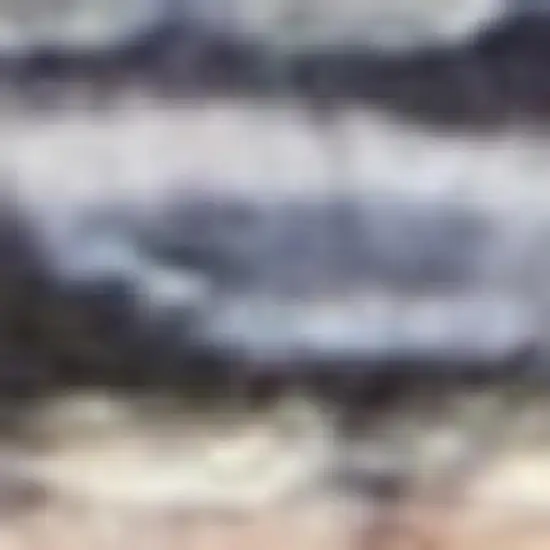 Light Blue Oriental Power Loom Distressed Washable Area Rug Photo 3