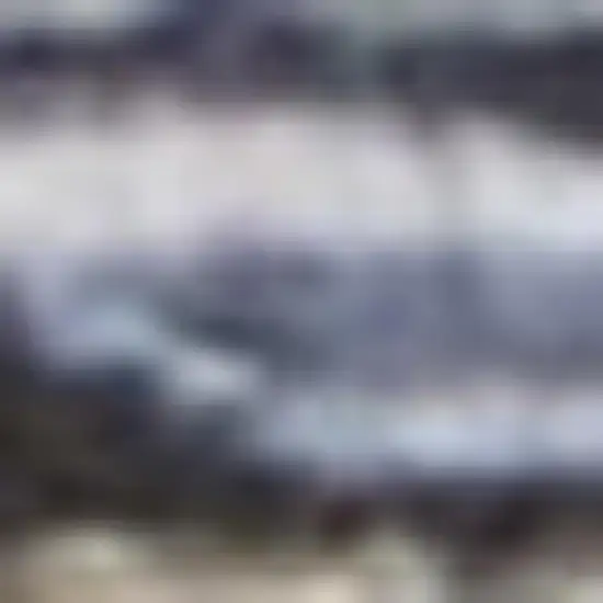 Light Blue Oriental Power Loom Distressed Washable Area Rug Photo 1