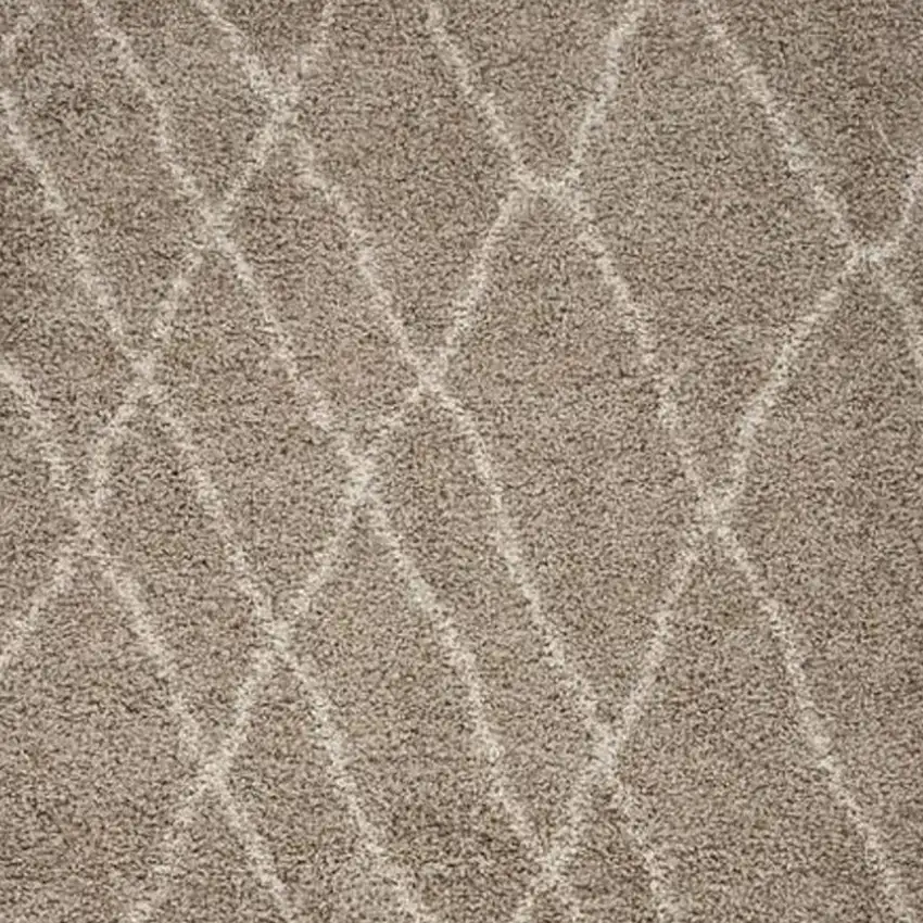 Light Brown Area Rug Photo 5