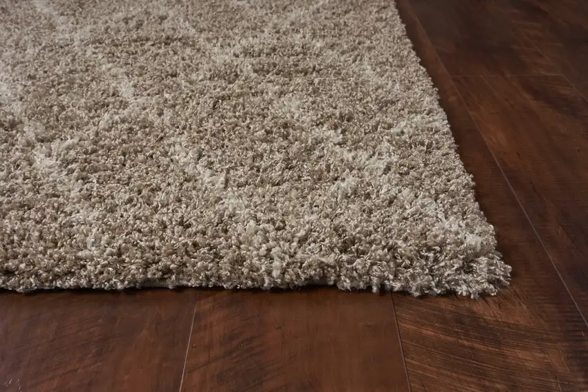 Light Brown Area Rug Photo 6