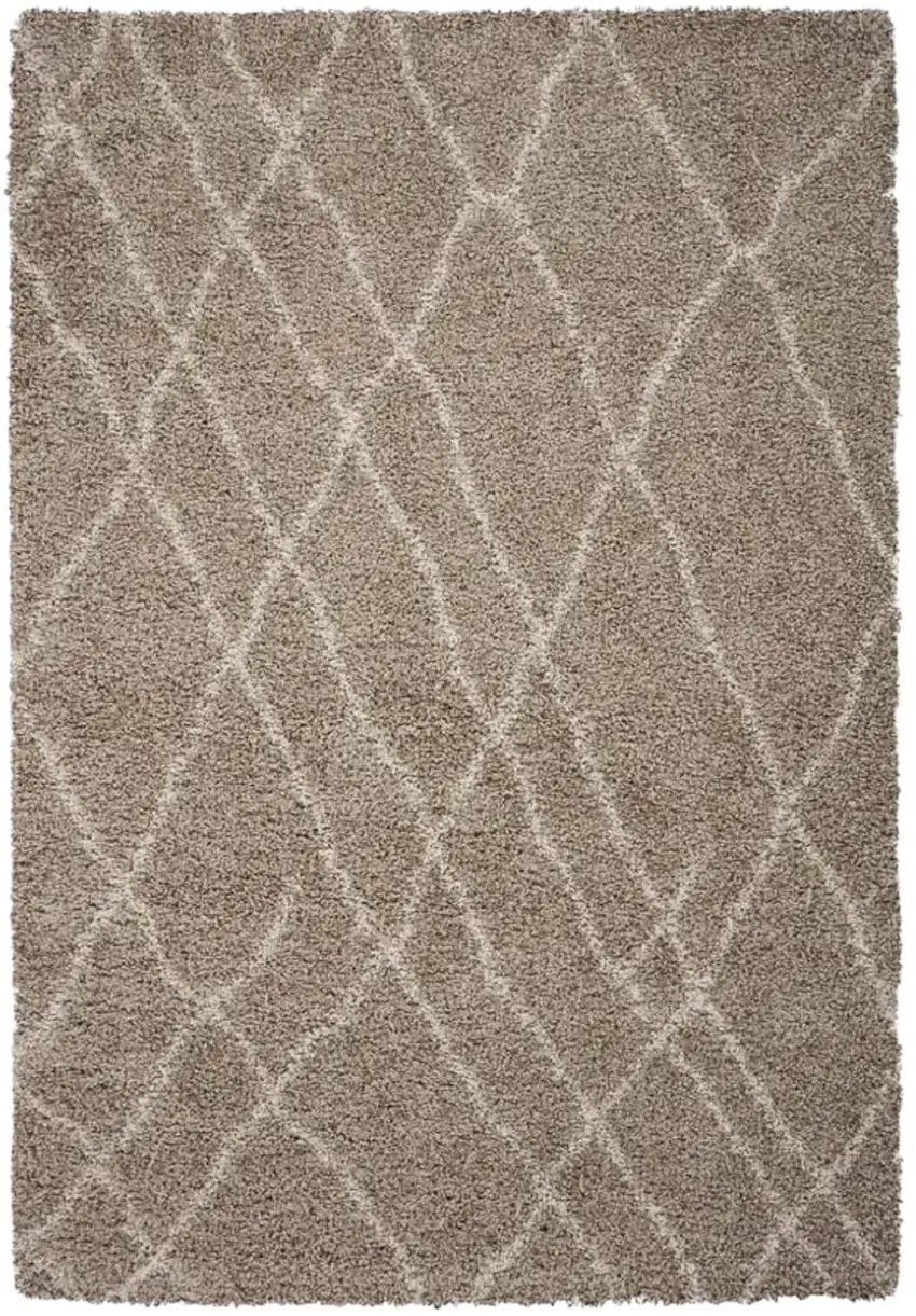 Light Brown Area Rug Photo 2