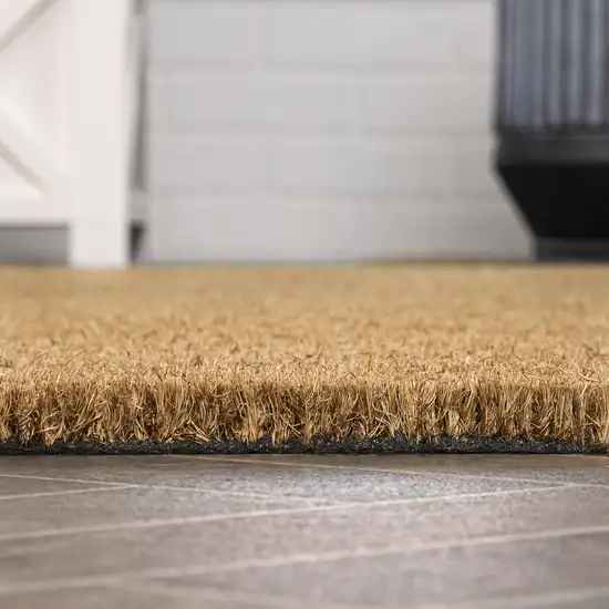 Light Brown Indoor Outdoor Area Rug Photo 6