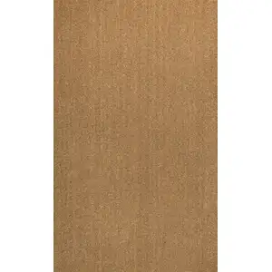 Photo of Light Brown Indoor Outdoor Area Rug