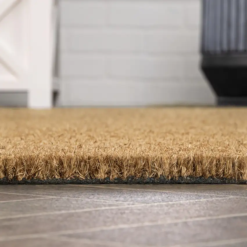 Light Brown Indoor Outdoor Area Rug Photo 9