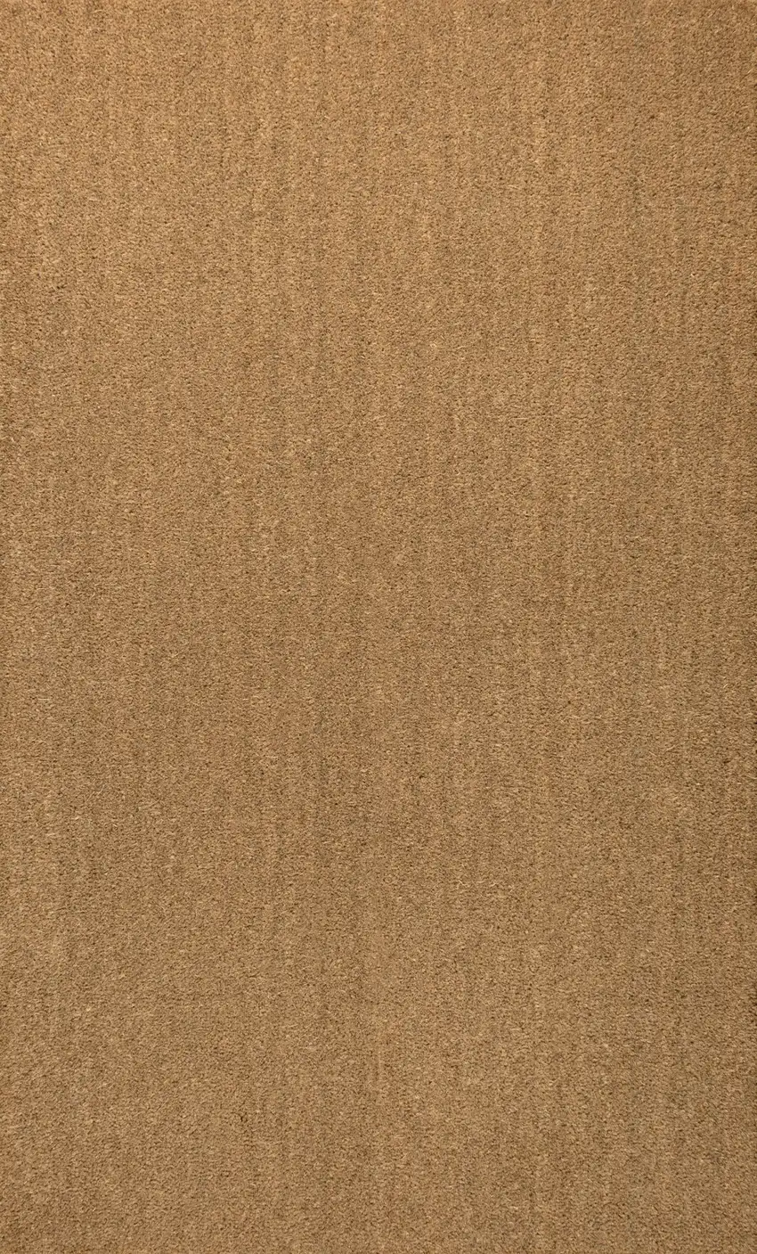 Light Brown Indoor Outdoor Area Rug Photo 3