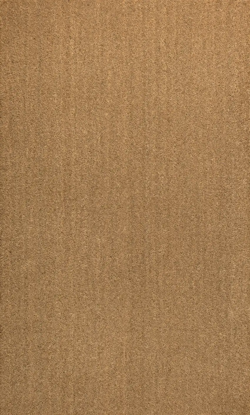 Light Brown Indoor Outdoor Area Rug Photo 1