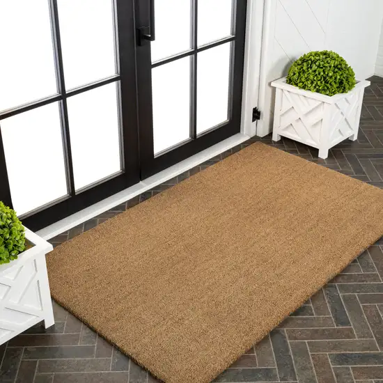 Light Brown Indoor Outdoor Area Rug Photo 5