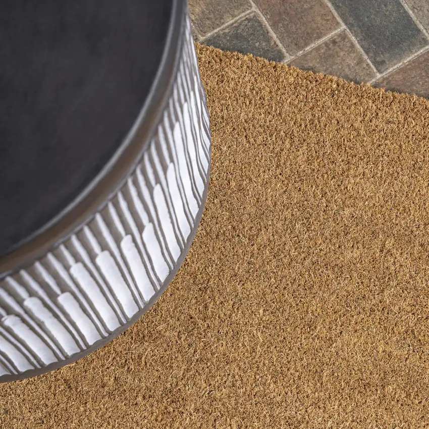 Light Brown Indoor Outdoor Area Rug Photo 5
