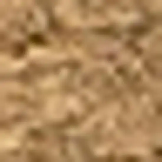 Light Brown Indoor Outdoor Area Rug Photo 2