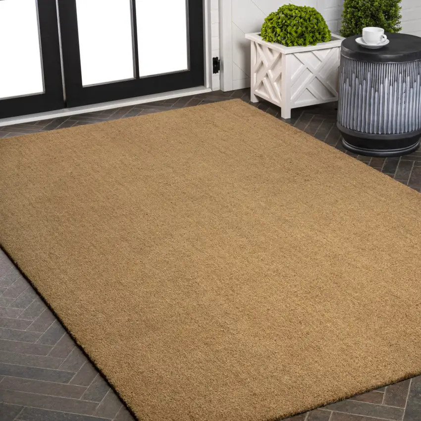 Light Brown Indoor Outdoor Area Rug Photo 9
