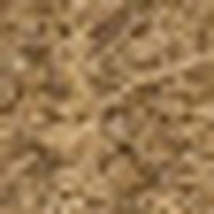 Light Brown Indoor Outdoor Area Rug Photo 3