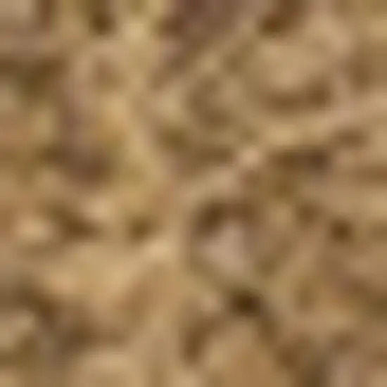 Light Brown Indoor Outdoor Area Rug Photo 2