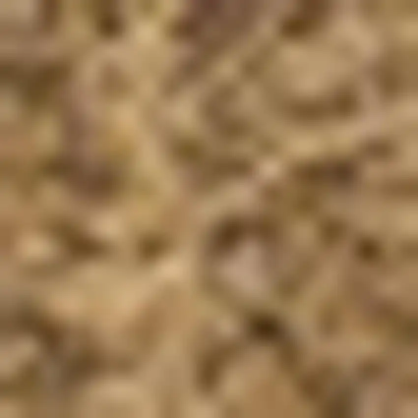 Light Brown Indoor Outdoor Area Rug Photo 2