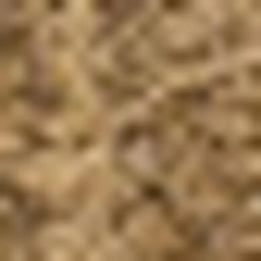 Light Brown Indoor Outdoor Area Rug Photo 2