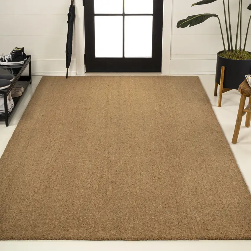 Light Brown Indoor Outdoor Area Rug Photo 5