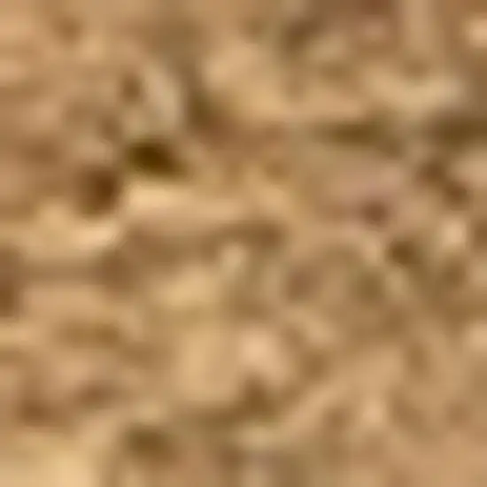 Light Brown Indoor Outdoor Area Rug Photo 2